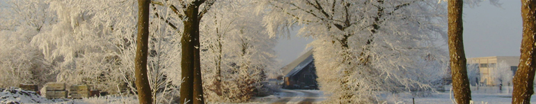 Prijzen